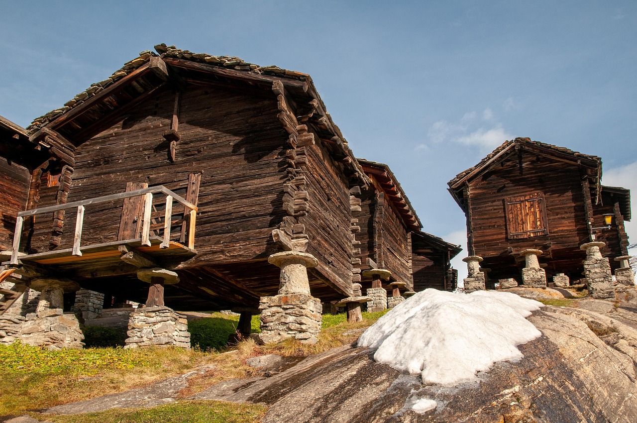 discover the power of saas (software as a service) solutions that streamline your business operations, enhance productivity, and offer scalability. explore diverse applications tailored to meet your needs, ensuring seamless access to software from anywhere at any time.