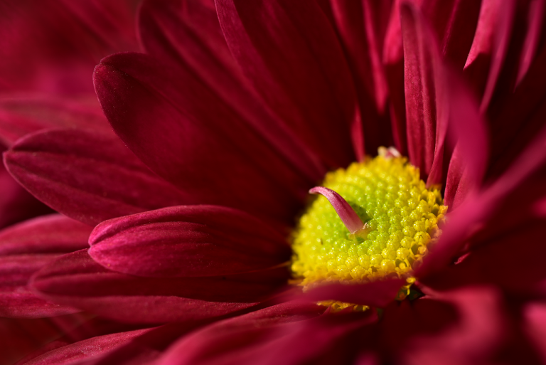 discover the ultimate photo workflow guide that streamlines your photography process, from capturing stunning images to seamless editing and organization. enhance your skills and productivity with efficient tips and tools for every photographer.