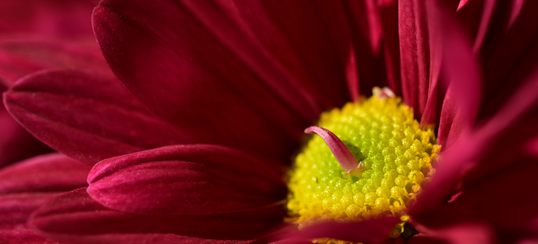 discover the ultimate photo workflow guide that streamlines your photography process, from capturing stunning images to seamless editing and organization. enhance your skills and productivity with efficient tips and tools for every photographer.